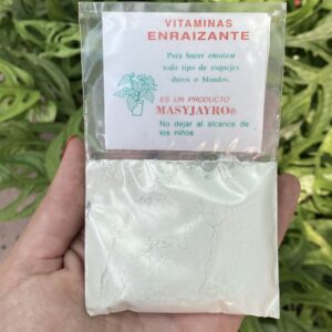 Enraizante