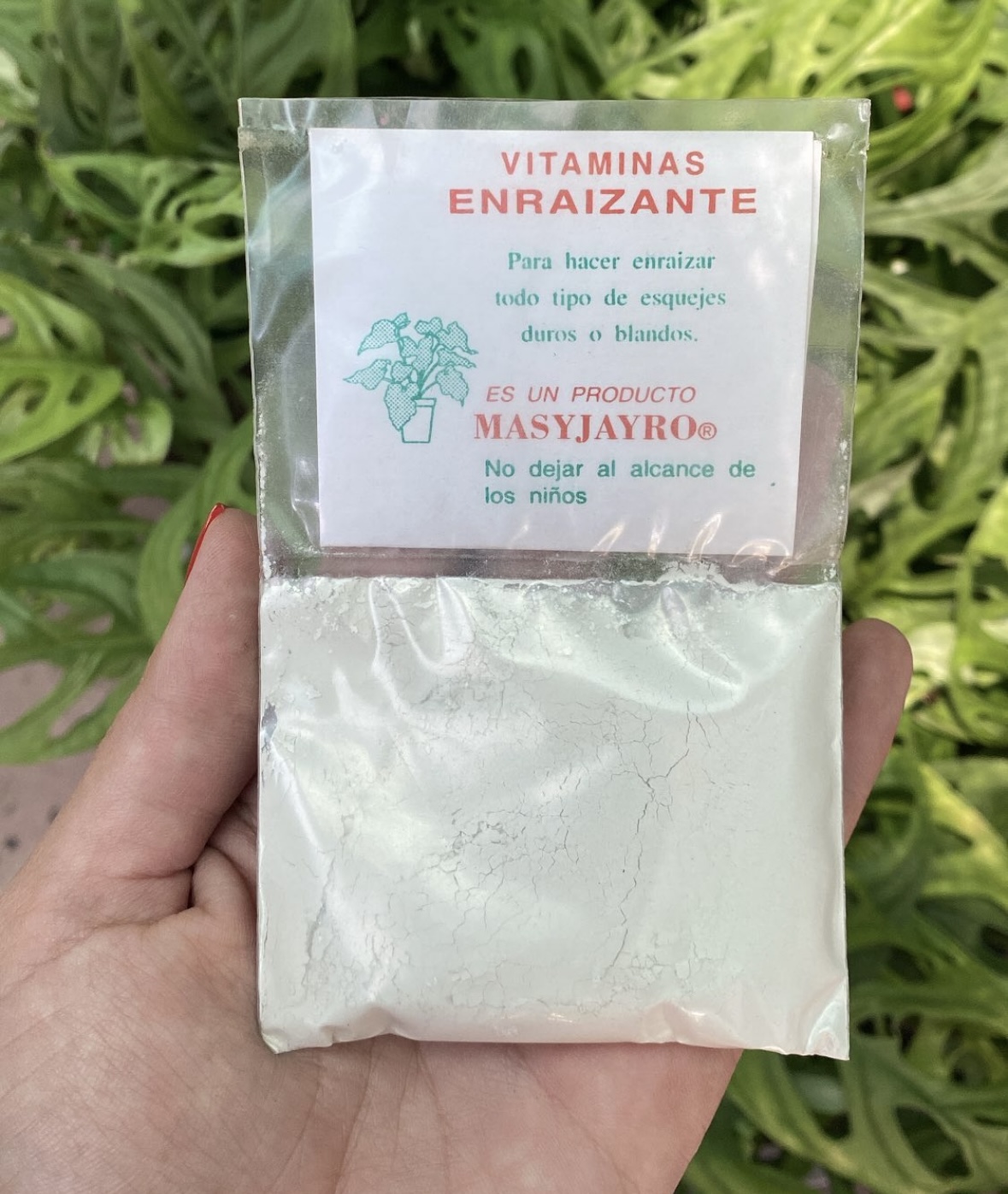 Enraizante