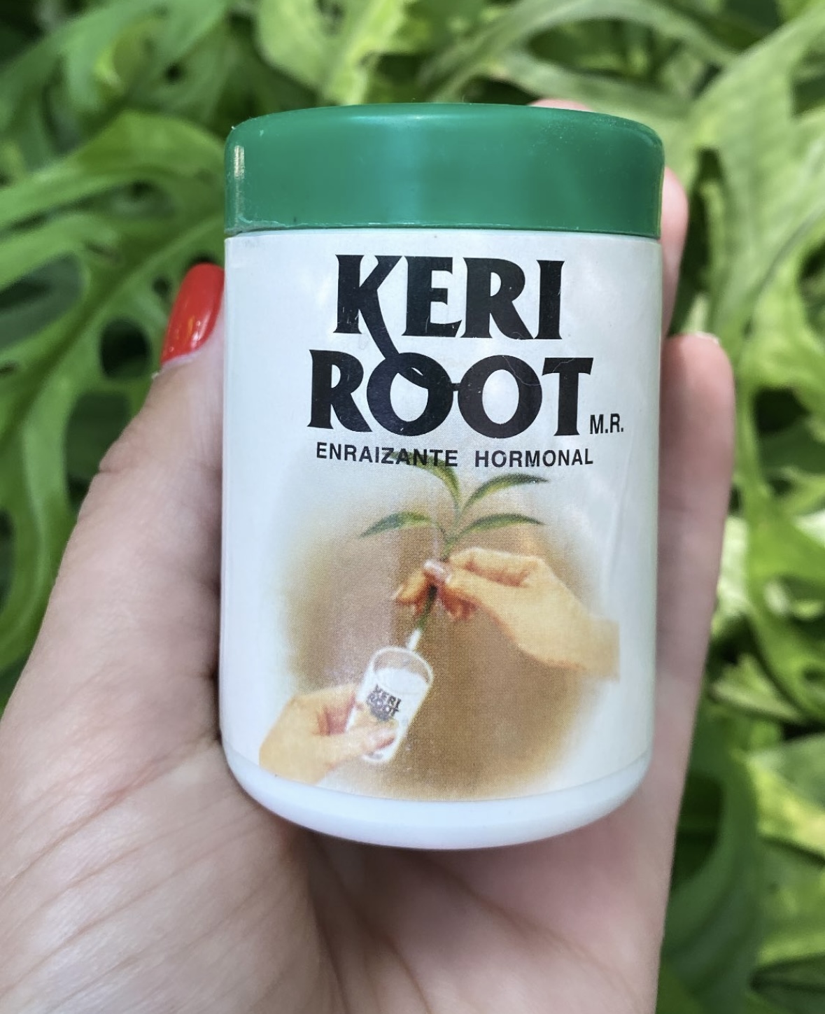 Enraizante Keri Root