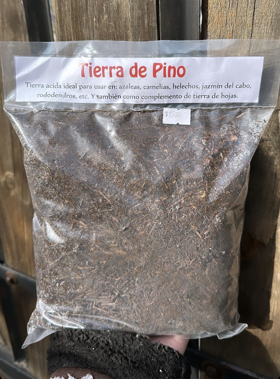 Tierra de Pino