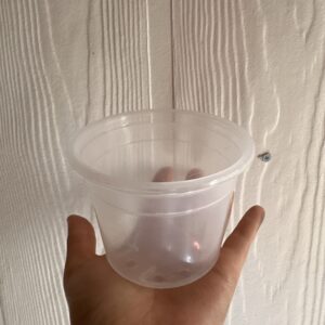 Maceta 10cm
