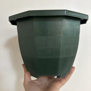 Maceta decágono
